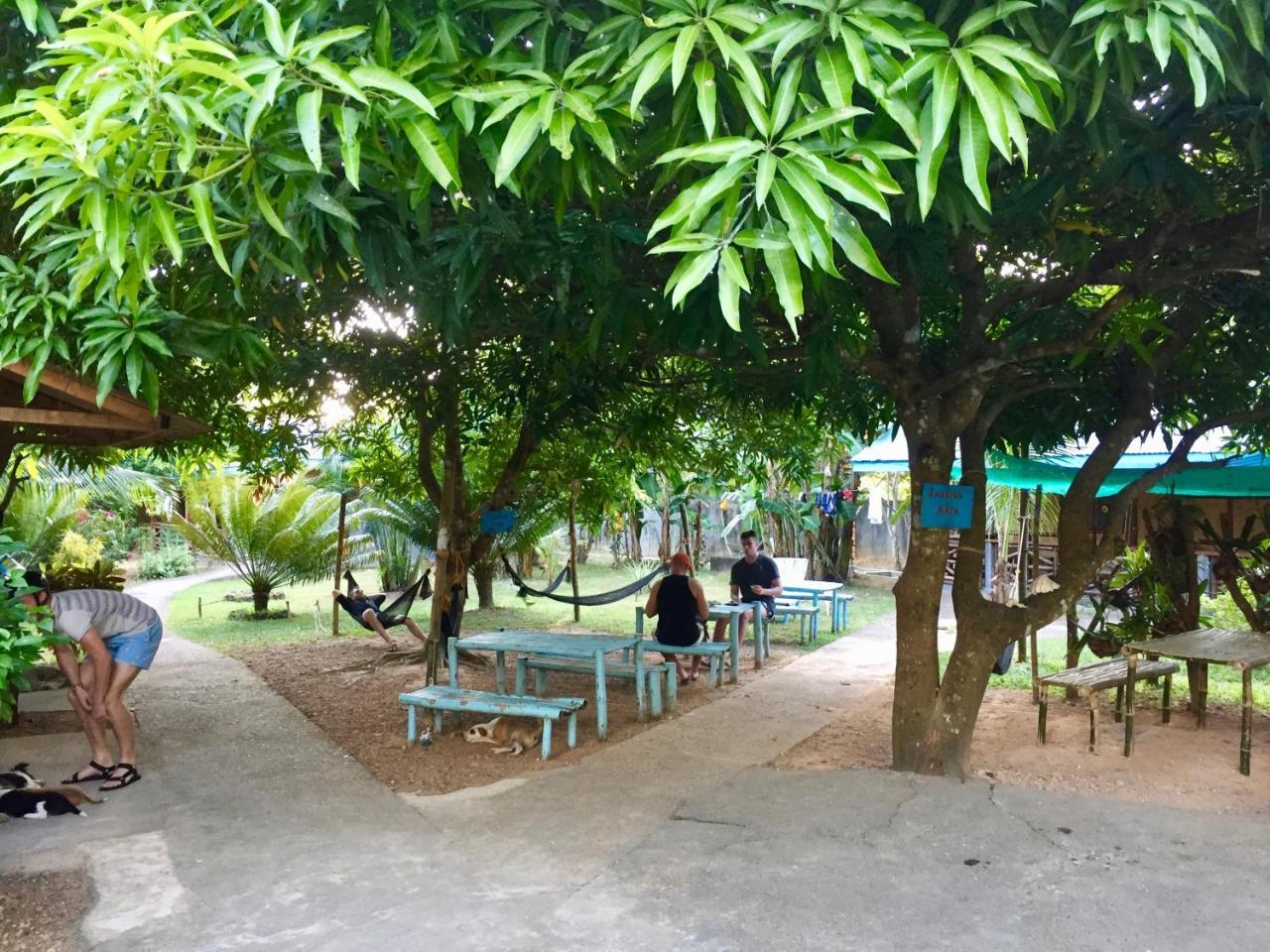 Fat Monkey Hostel Coron Extérieur photo